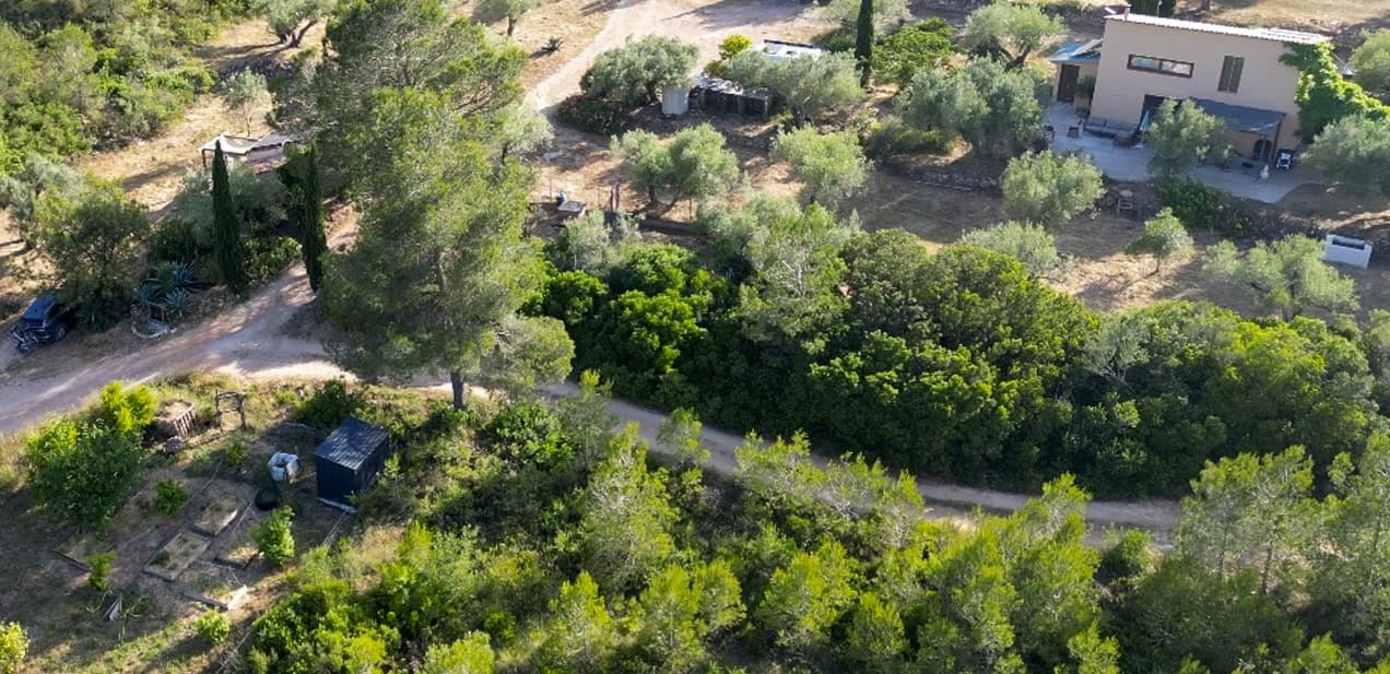 Finca Emmita
