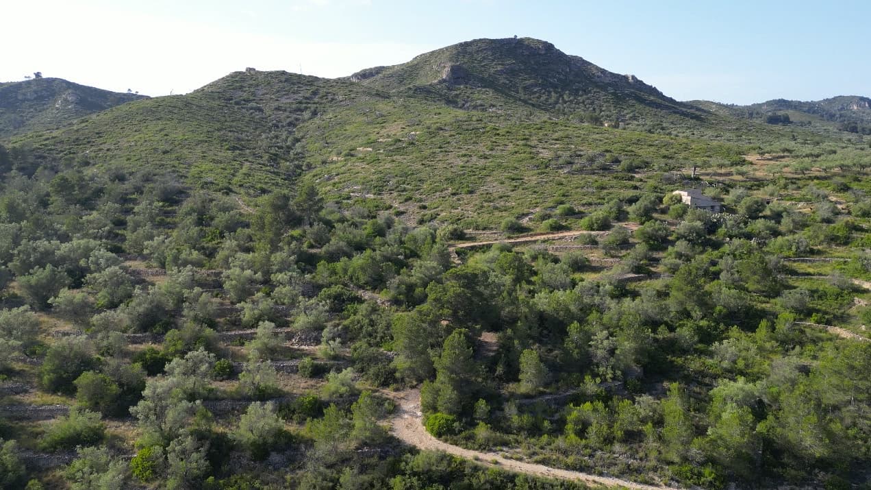 Finca Emmita