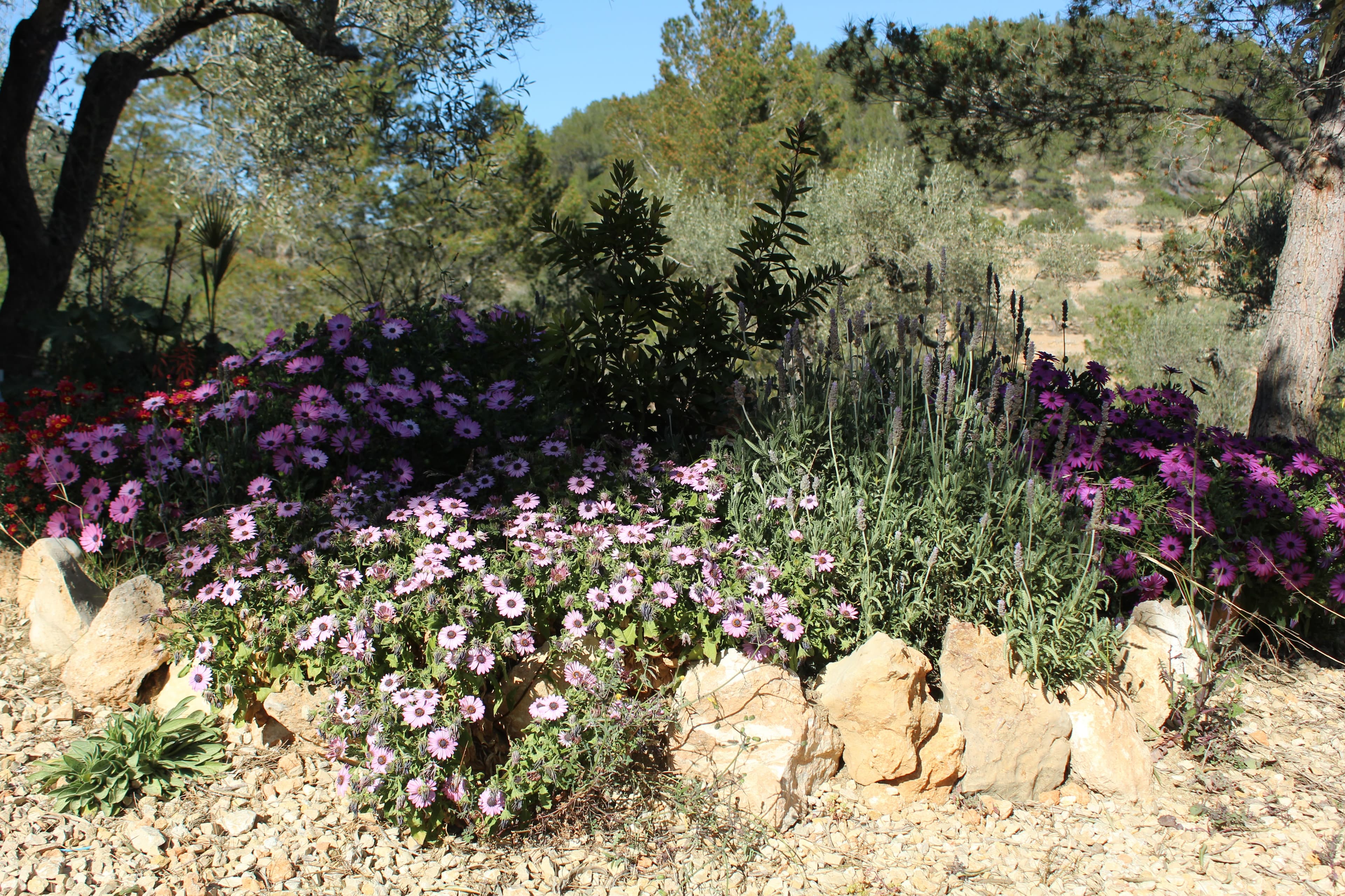 Finca Emmita